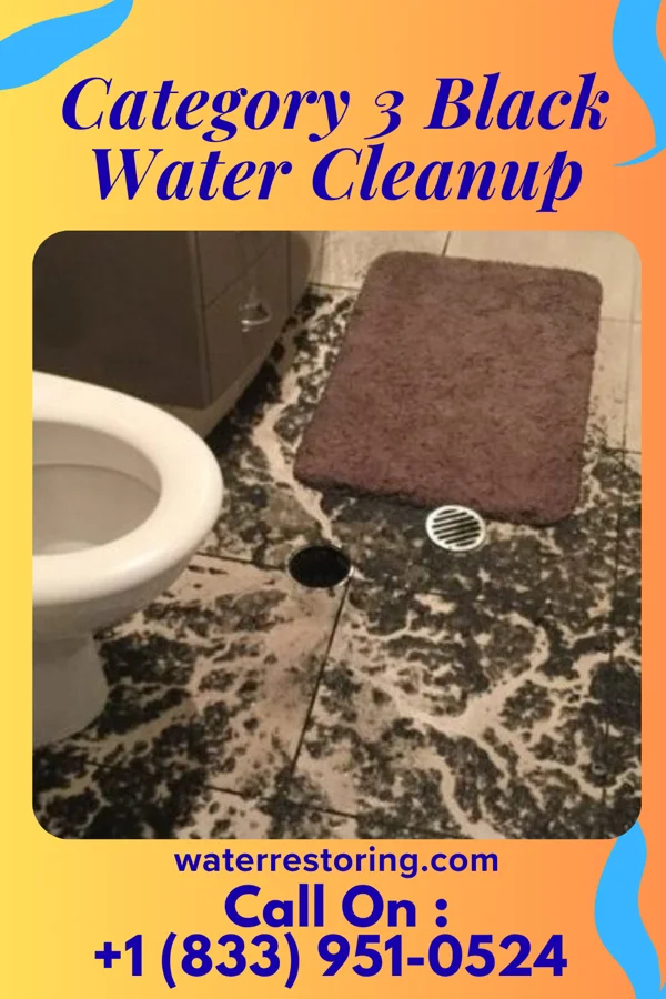 Category 3 Black Water Cleanup in Hinckley, MN