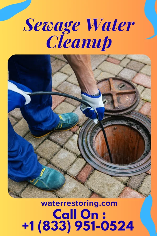 Sewage Water Cleanup in Hinckley, MN